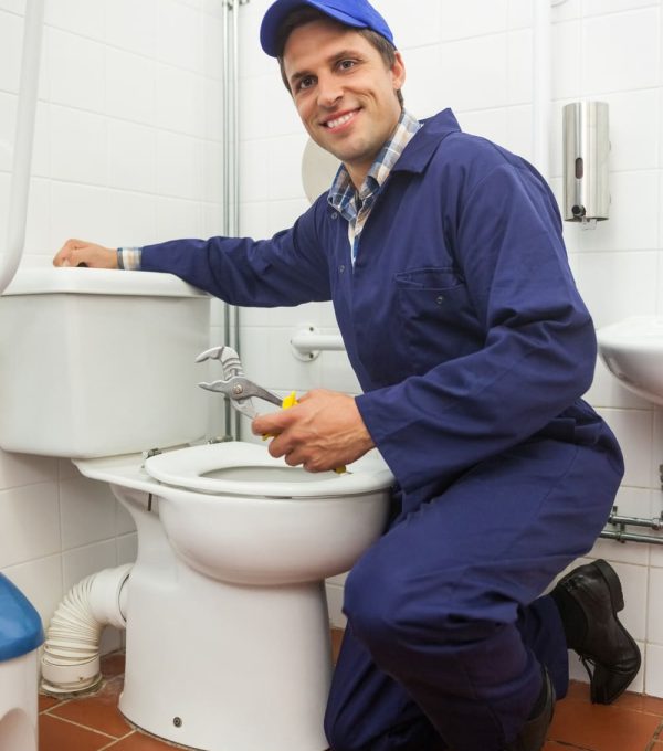 beau-plombier-reparation-toilettes